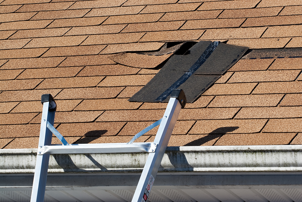 Tips for Choosing the Right Roofer Near Me
