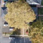 roof replacement west ward lansdale pa - montgomery county